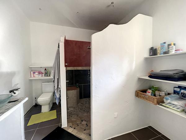 Maison a usage d habitation + hangar et bureaux a Saint Remy De Provence