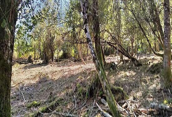 TERRAIN DE 7280M² DONT 1620M² CONSTRUCTIBLE