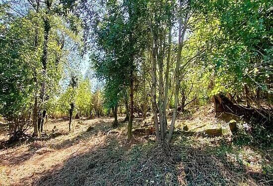 TERRAIN DE 7280M² DONT 1620M² CONSTRUCTIBLE