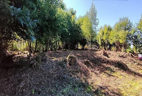 TERRAIN DE 7280M² DONT 1620M² CONSTRUCTIBLE