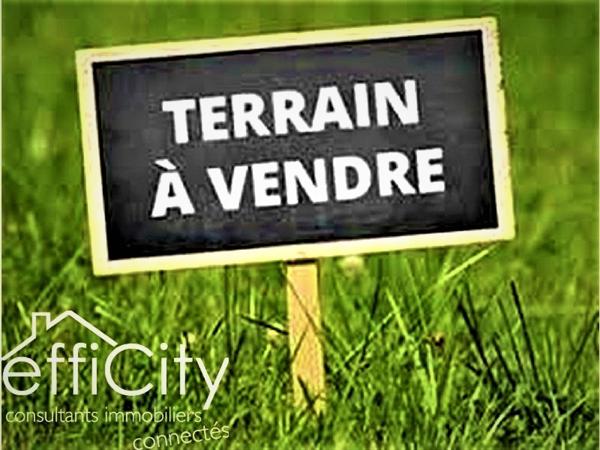 Terrain
        
        - 2232 m² Exclusivité 100 000 €*