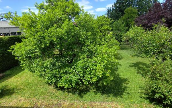 Maison d architecte 168 m2 9 pièces