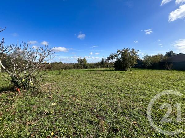Terrain à vendre  1009 m2 CUGNAUX - 31
