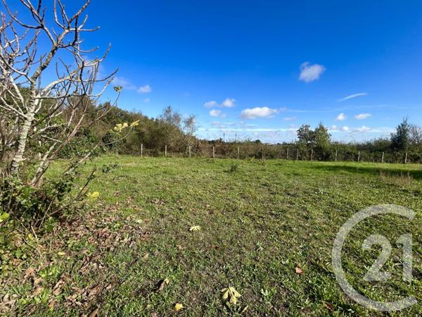 Terrain à vendre  1009 m2 CUGNAUX - 31