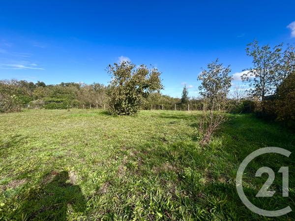 Terrain à vendre  1009 m2 CUGNAUX - 31