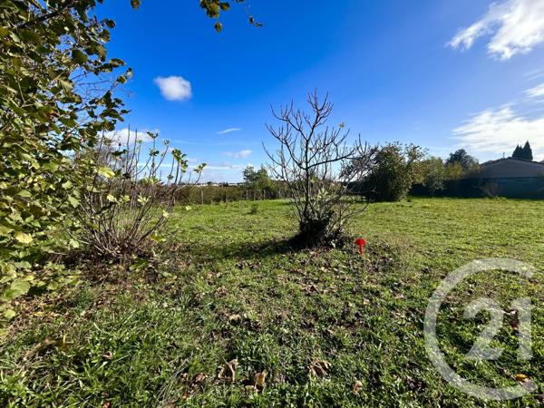 Terrain à vendre  1009 m2 CUGNAUX - 31