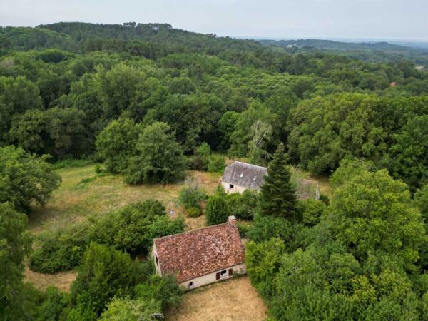 Maison ancienne - Gourdon EXCLUSIVITE - Belle Propriété de caractère typique dans un environnement préservé sur 2ha avec points d'eau
