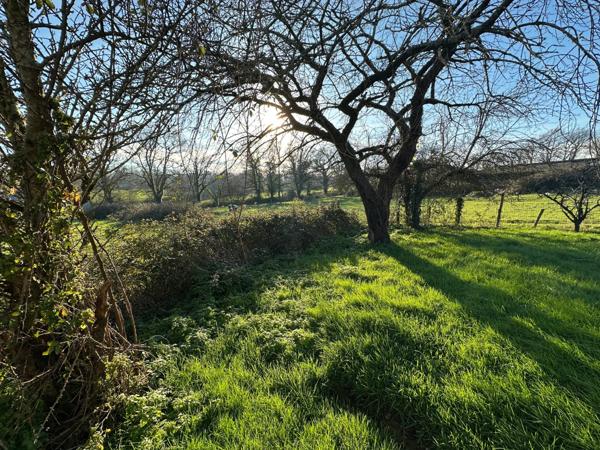 AUBIGNY LES CLOUZEAUX, maison familiale 5 chambres, env. 1150 m² de jardin