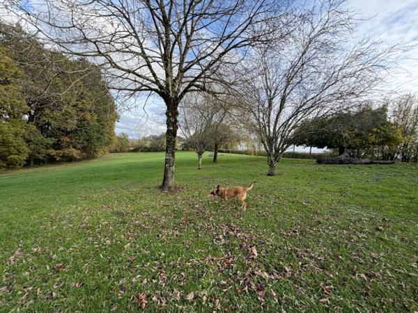 Laussou (47150) Proche Monflanquin, propriété en pierre avec gîte et piscine sur plus d'un hectare
