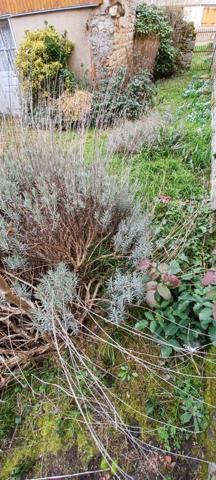 Entre Cluny et Charolles, maison de centre bourg de 144 m² à rénover, sur parcelle de terrain de 257 m²
