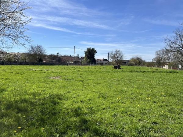 Beau terrain avec dépendances en pierre