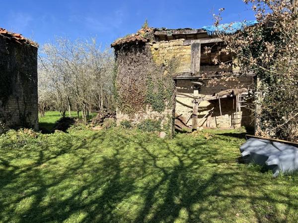 Beau terrain avec dépendances en pierre