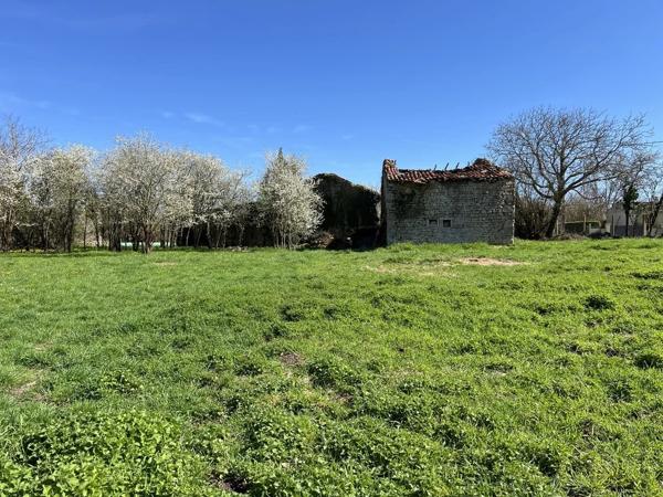 Beau terrain avec dépendances en pierre