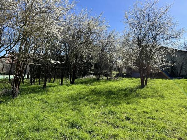 Beau terrain avec dépendances en pierre
