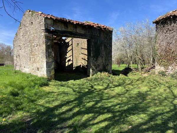 Beau terrain avec dépendances en pierre