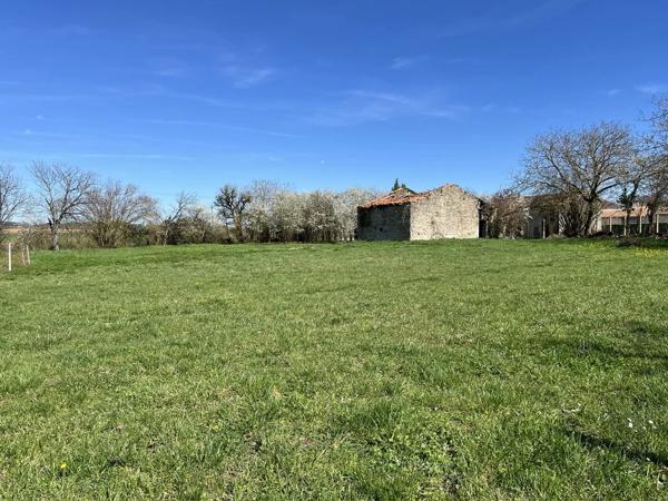 Beau terrain avec dépendances en pierre