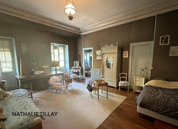 Orleans, centre, a vendre, hôtel particulier 400 m², jardin