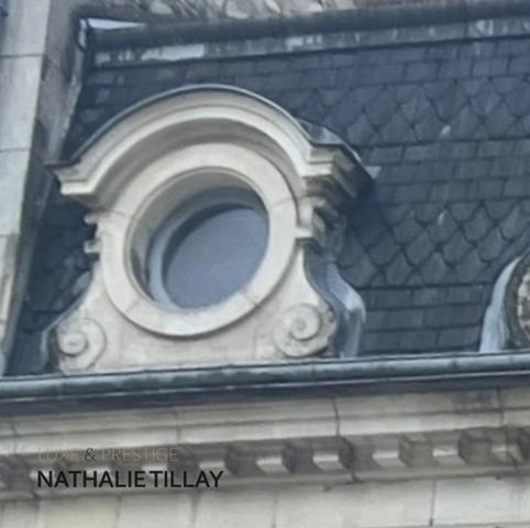 Orleans, centre, a vendre, hôtel particulier 400 m², jardin