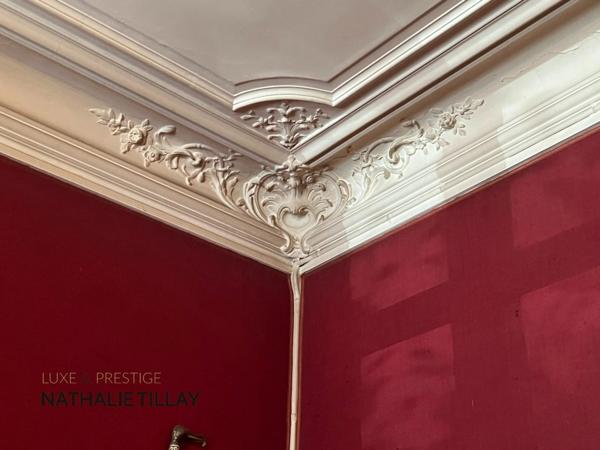 Orleans, centre, a vendre, hôtel particulier 400 m², jardin