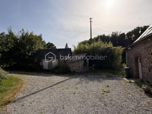 Rare sur la commune de St-Pierre-La-Cour, longère de 145m2 dont 125m2 de plain-pied, située à 2 kms du centre sur une parcelle de plus de 4000m2 avec une pièce d'eau ! Ne tardez pas à lire la suite, j'ai peut-être la maison dont vous rêvez ! 
Vous arriverez par un chemin privé, vous longerez la pièce d'eau pour au bout du chemin découvrir cette maison belle et longue maison en pierre. 
Nous commencerons la visite par le salon-séjour lumineux de 37m2 qui donne accès aussi au jardin. L'escalier tout récemment installé dessert la seule pièce de l'étage, une pièce de 20m2 récente qui sert aujourd'hui de chambre mais qui pourrait aisément devenir une salle de jeux, de sport ou encore un bureau. La charpente a été laissée apparente afin de donner du cachet à cette pièce, et c'est réussi ! 
Nous poursuivrons la visite du rez-de-chaussée avec la cuisine de 17m2, un très beau potentiel pour ses futurs propriétaires, comme sur la simulation que je vous ai mise en photo pour vous aider à vous projeter. 
Un couloir avec placard nous conduit à un wc séparé, une salle d'eau de 5m2 à rénover (comme pour la cuisine, je vous ai joins une photo avec une idée de projet)  et ensuite nous accèdons aux trois chambres qui ont toute la même particularité .... elles ont toutes les 3 un accès direct et privatif au jardin, rare encore ! La première chambre fait 12m2, la seconde 15m2 et la chambre parentale fait 22m2. Cette dernière a été séparée par un dressing. 
Vous souhaitez plus grand ? C'est possible puisque 60m2 de combles sont encore aménageables. 
Coté rangement, attenant et accessible par le salon-séjour et par une porte extérieur, vous découvrirez une buanderie arrière-cuisine de 22m2 (non comptabilisée dans la surface habitable). 
Le mode de chauffage de cette maison est un insert bois avec une soufflerie qui distribue la chaleur dans les pièces. 
Toutes les menuiseries sont en pvc double vitrage, elles ont été changées en 2017. La toiture et l'isolation des combles ont été refaits en 2010. La taxe foncière est de 590€.
Intéressant, depuis 2023 la maison est équipée de 7 panneaux solaires avec autoconsommation et revente du surplus ! 
La maison a un puits. La fosse septique est non conforme. 
Coté extérieur, vous pourrez profiter en toute tranquillité sans aucun vis à vis d'une parcelle d'environ 4300m2 avec une petite dépendance en pierre idéale pour un garage et belle surprise... une pièce d'eau pour les amateurs de partie de pêche en famille ou entre amis. 
Vous souhaitez un peu plus de terrain ? C'est possible, les propriétaires peuvent céder une parcelle constructible attenante d'environ 2000m2... . 
Alors, cette maison semble correspondre à vos critères de recherche ? 
Ne tardez pas, appelez-moi pour d'éventuels renseignements complémentaires et peut-être fixer une visite !
Et n'oubliez pas, Saint-Pierre-La-Cour est une commune dynamique de 2300 habitants avec une école privée, une école publique, un collège privé, un pôle enfance jeunesse, mais aussi, médecins, dentiste, kiné, centre de soins infirmiers, ostéopathes, orthophoniste, psychologue, sage-femme,  pharmacie, infirmières libérales ainsi que de nombreuses infrastructures sportives, des commerces (supérette, boulangerie, boucherie, coiffeurs, bar, etc), avec son accès rapide à l'axe Rennes-Laval et à l'autoroute ainsi que sa gare ferroviaire avec ses arrêts quotidiens.