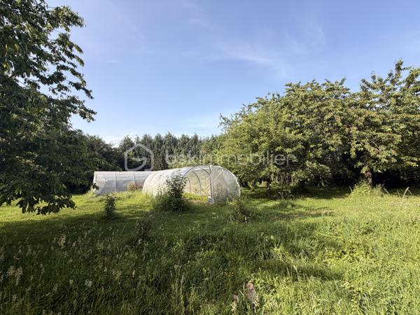 Rare sur la commune de St-Pierre-La-Cour, longère de 145m2 dont 125m2 de plain-pied, située à 2 kms du centre sur une parcelle de plus de 4000m2 avec une pièce d'eau ! Ne tardez pas à lire la suite, j'ai peut-être la maison dont vous rêvez ! 
Vous arriverez par un chemin privé, vous longerez la pièce d'eau pour au bout du chemin découvrir cette maison belle et longue maison en pierre. 
Nous commencerons la visite par le salon-séjour lumineux de 37m2 qui donne accès aussi au jardin. L'escalier tout récemment installé dessert la seule pièce de l'étage, une pièce de 20m2 récente qui sert aujourd'hui de chambre mais qui pourrait aisément devenir une salle de jeux, de sport ou encore un bureau. La charpente a été laissée apparente afin de donner du cachet à cette pièce, et c'est réussi ! 
Nous poursuivrons la visite du rez-de-chaussée avec la cuisine de 17m2, un très beau potentiel pour ses futurs propriétaires, comme sur la simulation que je vous ai mise en photo pour vous aider à vous projeter. 
Un couloir avec placard nous conduit à un wc séparé, une salle d'eau de 5m2 à rénover (comme pour la cuisine, je vous ai joins une photo avec une idée de projet)  et ensuite nous accèdons aux trois chambres qui ont toute la même particularité .... elles ont toutes les 3 un accès direct et privatif au jardin, rare encore ! La première chambre fait 12m2, la seconde 15m2 et la chambre parentale fait 22m2. Cette dernière a été séparée par un dressing. 
Vous souhaitez plus grand ? C'est possible puisque 60m2 de combles sont encore aménageables. 
Coté rangement, attenant et accessible par le salon-séjour et par une porte extérieur, vous découvrirez une buanderie arrière-cuisine de 22m2 (non comptabilisée dans la surface habitable). 
Le mode de chauffage de cette maison est un insert bois avec une soufflerie qui distribue la chaleur dans les pièces. 
Toutes les menuiseries sont en pvc double vitrage, elles ont été changées en 2017. La toiture et l'isolation des combles ont été refaits en 2010. La taxe foncière est de 590€.
Intéressant, depuis 2023 la maison est équipée de 7 panneaux solaires avec autoconsommation et revente du surplus ! 
La maison a un puits. La fosse septique est non conforme. 
Coté extérieur, vous pourrez profiter en toute tranquillité sans aucun vis à vis d'une parcelle d'environ 4300m2 avec une petite dépendance en pierre idéale pour un garage et belle surprise... une pièce d'eau pour les amateurs de partie de pêche en famille ou entre amis. 
Vous souhaitez un peu plus de terrain ? C'est possible, les propriétaires peuvent céder une parcelle constructible attenante d'environ 2000m2... . 
Alors, cette maison semble correspondre à vos critères de recherche ? 
Ne tardez pas, appelez-moi pour d'éventuels renseignements complémentaires et peut-être fixer une visite !
Et n'oubliez pas, Saint-Pierre-La-Cour est une commune dynamique de 2300 habitants avec une école privée, une école publique, un collège privé, un pôle enfance jeunesse, mais aussi, médecins, dentiste, kiné, centre de soins infirmiers, ostéopathes, orthophoniste, psychologue, sage-femme,  pharmacie, infirmières libérales ainsi que de nombreuses infrastructures sportives, des commerces (supérette, boulangerie, boucherie, coiffeurs, bar, etc), avec son accès rapide à l'axe Rennes-Laval et à l'autoroute ainsi que sa gare ferroviaire avec ses arrêts quotidiens.