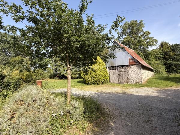 Rare sur la commune de St-Pierre-La-Cour, longère de 145m2 dont 125m2 de plain-pied, située à 2 kms du centre sur une parcelle de plus de 4000m2 avec une pièce d'eau ! Ne tardez pas à lire la suite, j'ai peut-être la maison dont vous rêvez ! 
Vous arriverez par un chemin privé, vous longerez la pièce d'eau pour au bout du chemin découvrir cette maison belle et longue maison en pierre. 
Nous commencerons la visite par le salon-séjour lumineux de 37m2 qui donne accès aussi au jardin. L'escalier tout récemment installé dessert la seule pièce de l'étage, une pièce de 20m2 récente qui sert aujourd'hui de chambre mais qui pourrait aisément devenir une salle de jeux, de sport ou encore un bureau. La charpente a été laissée apparente afin de donner du cachet à cette pièce, et c'est réussi ! 
Nous poursuivrons la visite du rez-de-chaussée avec la cuisine de 17m2, un très beau potentiel pour ses futurs propriétaires, comme sur la simulation que je vous ai mise en photo pour vous aider à vous projeter. 
Un couloir avec placard nous conduit à un wc séparé, une salle d'eau de 5m2 à rénover (comme pour la cuisine, je vous ai joins une photo avec une idée de projet)  et ensuite nous accèdons aux trois chambres qui ont toute la même particularité .... elles ont toutes les 3 un accès direct et privatif au jardin, rare encore ! La première chambre fait 12m2, la seconde 15m2 et la chambre parentale fait 22m2. Cette dernière a été séparée par un dressing. 
Vous souhaitez plus grand ? C'est possible puisque 60m2 de combles sont encore aménageables. 
Coté rangement, attenant et accessible par le salon-séjour et par une porte extérieur, vous découvrirez une buanderie arrière-cuisine de 22m2 (non comptabilisée dans la surface habitable). 
Le mode de chauffage de cette maison est un insert bois avec une soufflerie qui distribue la chaleur dans les pièces. 
Toutes les menuiseries sont en pvc double vitrage, elles ont été changées en 2017. La toiture et l'isolation des combles ont été refaits en 2010. La taxe foncière est de 590€.
Intéressant, depuis 2023 la maison est équipée de 7 panneaux solaires avec autoconsommation et revente du surplus ! 
La maison a un puits. La fosse septique est non conforme. 
Coté extérieur, vous pourrez profiter en toute tranquillité sans aucun vis à vis d'une parcelle d'environ 4300m2 avec une petite dépendance en pierre idéale pour un garage et belle surprise... une pièce d'eau pour les amateurs de partie de pêche en famille ou entre amis. 
Vous souhaitez un peu plus de terrain ? C'est possible, les propriétaires peuvent céder une parcelle constructible attenante d'environ 2000m2... . 
Alors, cette maison semble correspondre à vos critères de recherche ? 
Ne tardez pas, appelez-moi pour d'éventuels renseignements complémentaires et peut-être fixer une visite !
Et n'oubliez pas, Saint-Pierre-La-Cour est une commune dynamique de 2300 habitants avec une école privée, une école publique, un collège privé, un pôle enfance jeunesse, mais aussi, médecins, dentiste, kiné, centre de soins infirmiers, ostéopathes, orthophoniste, psychologue, sage-femme,  pharmacie, infirmières libérales ainsi que de nombreuses infrastructures sportives, des commerces (supérette, boulangerie, boucherie, coiffeurs, bar, etc), avec son accès rapide à l'axe Rennes-Laval et à l'autoroute ainsi que sa gare ferroviaire avec ses arrêts quotidiens.