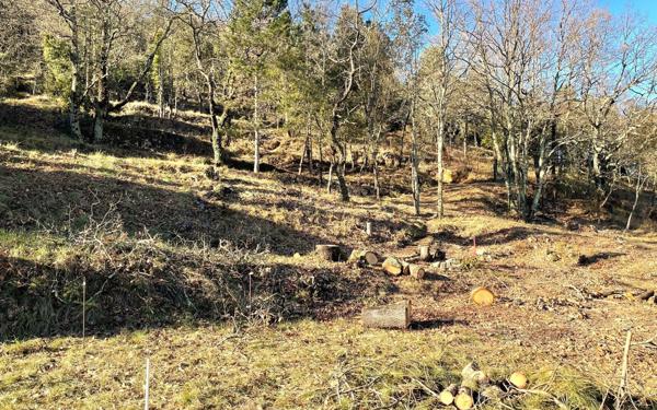 Terrain à vendre    Salavas