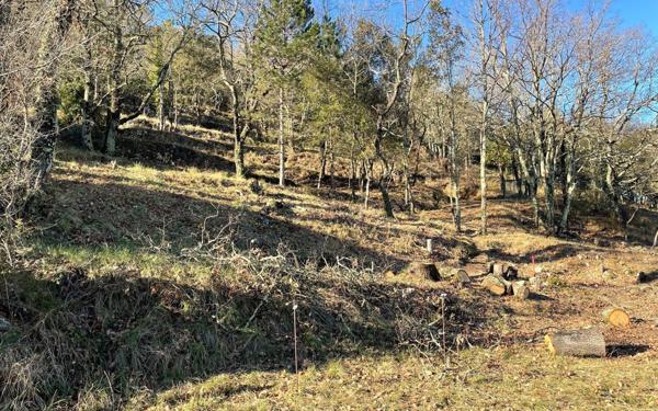 Terrain à vendre    Salavas