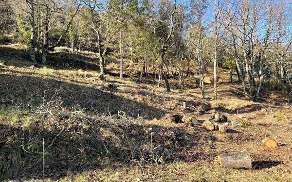 Terrain à vendre    Salavas