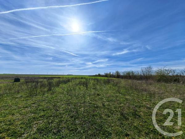 Terrain à vendre  1252 m2 BREUVERY SUR COOLE - 51
