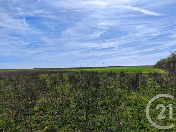 Terrain à vendre  1252 m2 BREUVERY SUR COOLE - 51