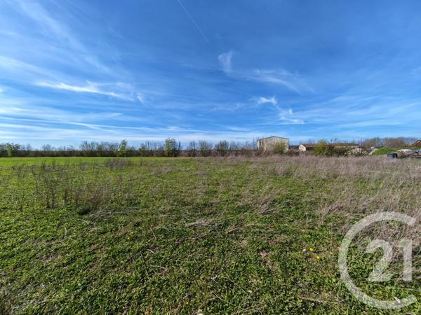Terrain à vendre  1252 m2 BREUVERY SUR COOLE - 51