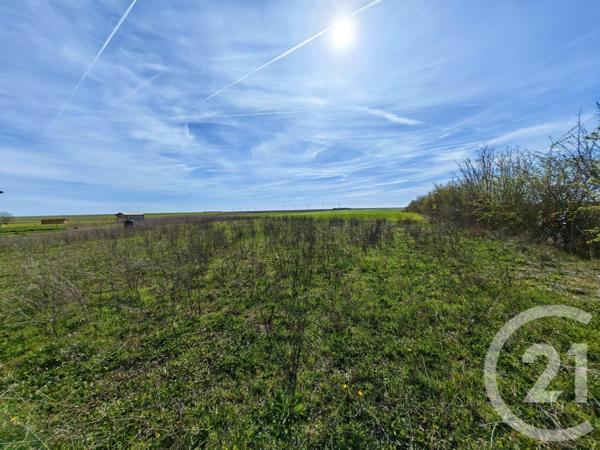 Terrain à vendre  1252 m2 BREUVERY SUR COOLE - 51