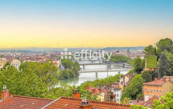 Appartement 3 pièces - 53 m²