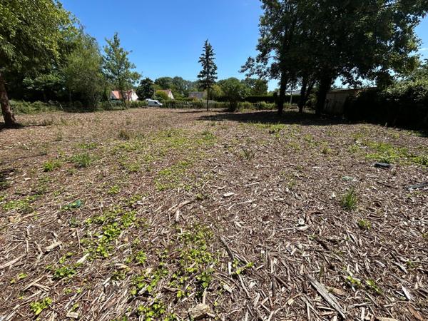 Terrain de 3 041m² constructible