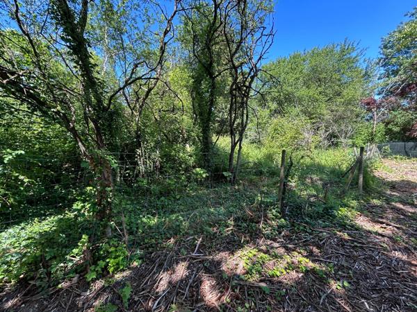 Terrain de 3 041m² constructible