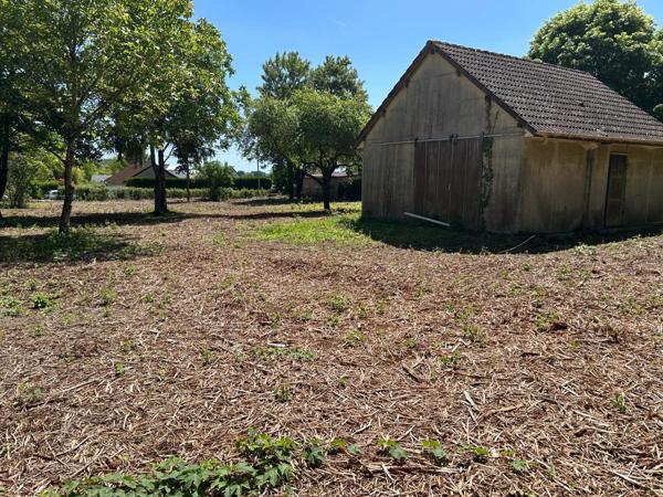 Terrain de 3 041m² constructible