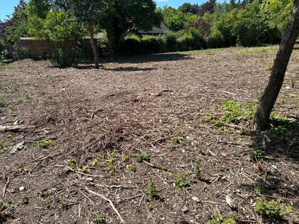 Terrain de 3 041m² constructible