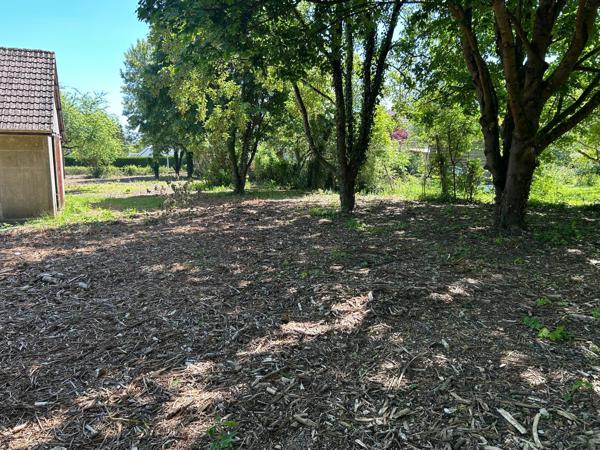 Terrain de 3 041m² constructible
