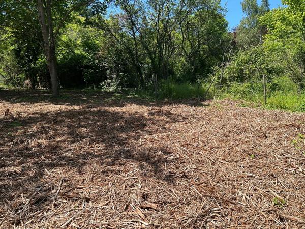 Terrain de 3 041m² constructible