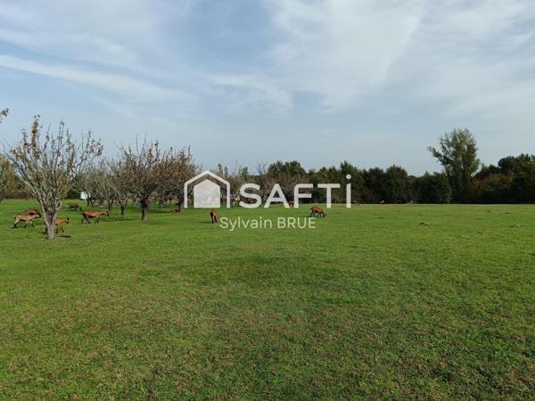 Terres agricoles, 5Ha, avec activité Caprins Bio