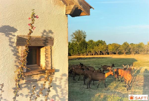 Terres agricoles, 5Ha, avec activité Caprins Bio
