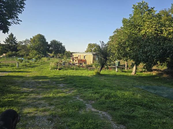 Venez découvrir ce coin de nature prêt à accueillir votre nouveau projet de vie !!