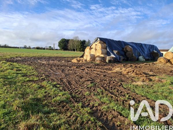 Terrain à vendre 1 800 m² Les Pins