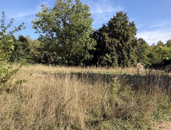 Vente                                                      Terrain
                        
                                         1300 m2                     à Villers-Cotterêts