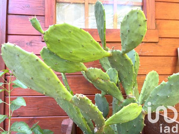 Maison à vendre 6 pièces 140 m² Grenade-sur-l'Adour