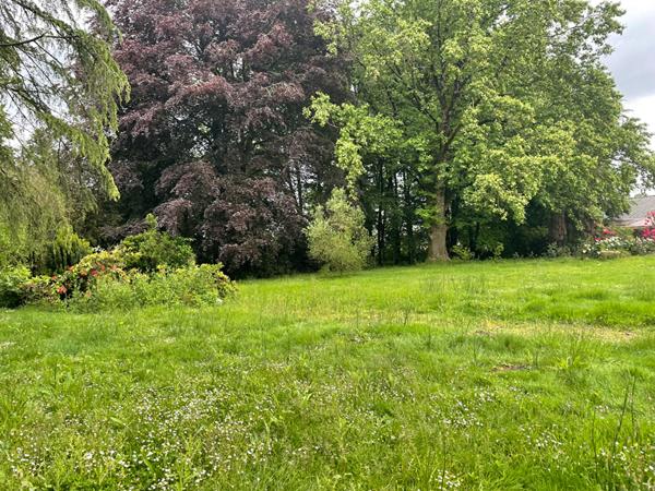 Terrain environ 3600 m², hyper centre ville. Raccordable gaz de ville, fibre, tout à l'égout