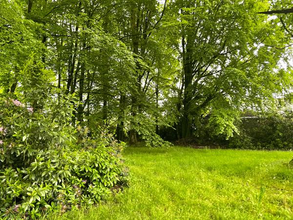 Terrain environ 3600 m², hyper centre ville. Raccordable gaz de ville, fibre, tout à l'égout