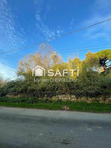 Ancienne maison à rénover totalement dans un environnement calme et verdoyant