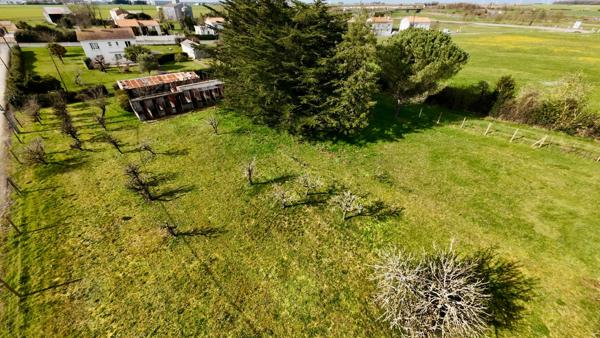 LUCON (85) EXCEPTIONNEL ET RARE TERRAIN CONSTRUCTIBLE 2239 M²+760 M² A VIABILISER ET HORS LOTISSEMENT